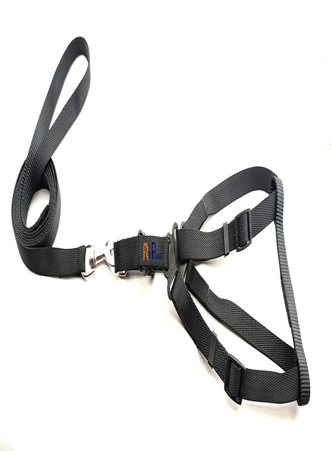 Pups&Pets 15 MM Nylon Leash with Harness 0.5 Inch Adjustable Nylon Harness Set Ideal for Small Breed Dog & Puppies - Black - Image 1